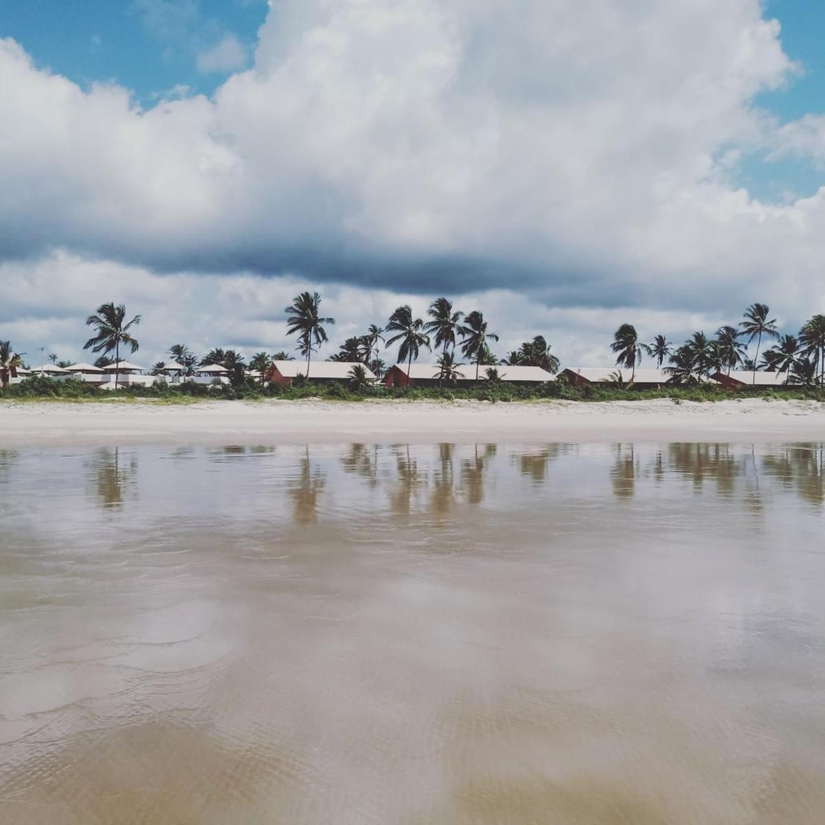 Lindo Apto Em Frente Ao Mar - Ilheus - Itacare Ba エクステリア 写真
